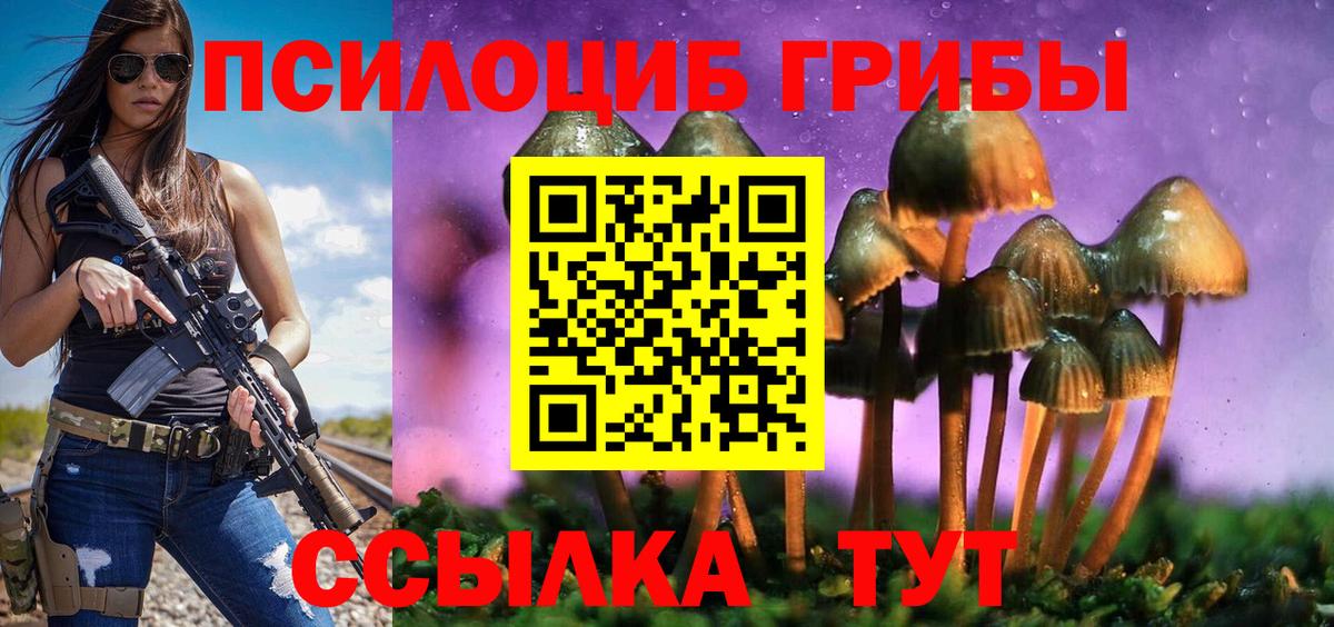 Курчалой  Псилоцибиновые грибы Cubensis  Вход с VPN 
