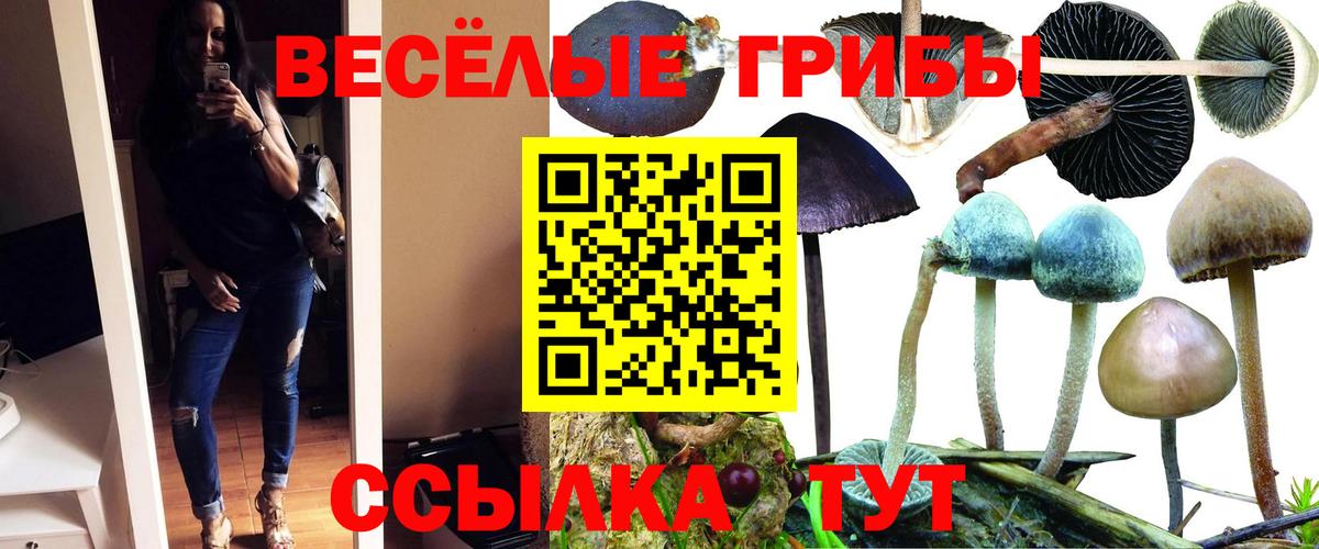 Псилоцибиновые грибы Magic Shrooms Курчалой